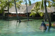 Mauritius-Mallorca Bild 2