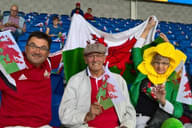 Im Stadium - WALES v AUSTRIA ----- 1 - 0